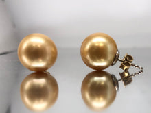 Load image into Gallery viewer, Spectacular Golden South Sea Pearl Stud Earrings

