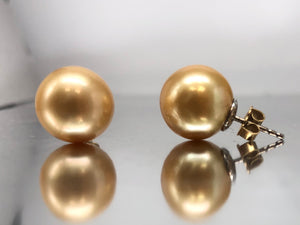 Spectacular Golden South Sea Pearl Stud Earrings