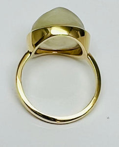 Man in the Moonstone Ring in 14k Yellow Gold